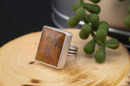 The Unknown Jasper Ring, Size 7.5